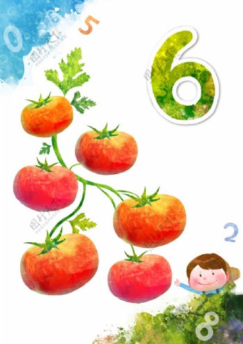 六个西红柿