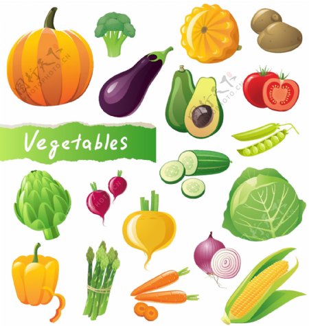 蔬菜图像01矢量