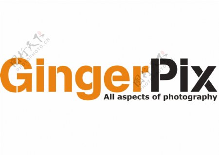 GingerPixPhotographyRichPagelogo设计欣赏GingerPixPhotographyRichPage广告公司LOGO下载标志设计欣赏