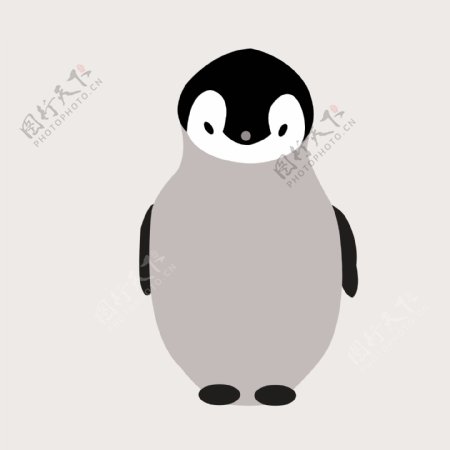 印花矢量图毛衫图案专题动物企鹅女装免费素材