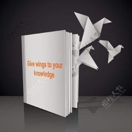 创作本书用折纸鸟设计矢量图01