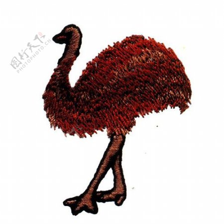 绣花动物鸟类鸵鸟棕色免费素材