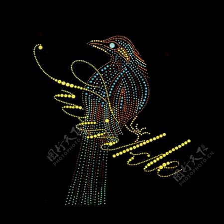 烫钻文字英文动物鸟免费素材