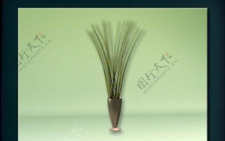 装饰构件之植物3D模型植物025