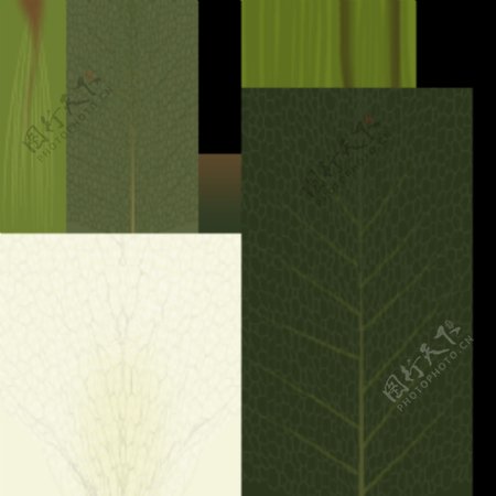植物花草装饰素材室内装饰用品素材花草模型73