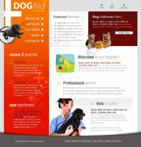 狗狗宠物网页psd模板