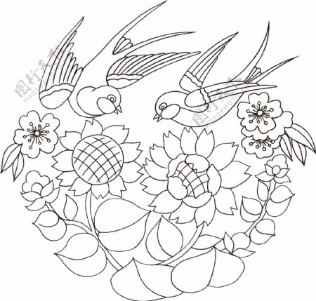 燕子花纹图片
