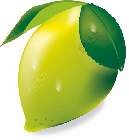 青涩柠檬成熟柿子矢量图AI