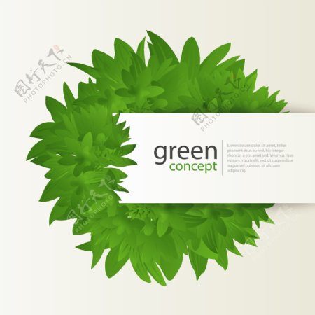 绿色树叶标签01矢量素材