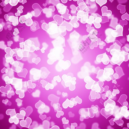 紫心的虚化背景显示爱浪漫的情人