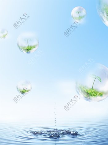 水滴植物图片