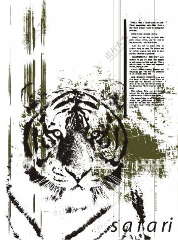 印花矢量图动物文字色彩老虎免费素材