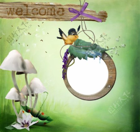 蘑菇鸟儿叶子相框模板设计图片