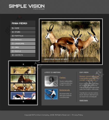 野生动物网站设计