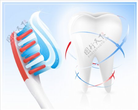 矢量牙刷牙齿设计