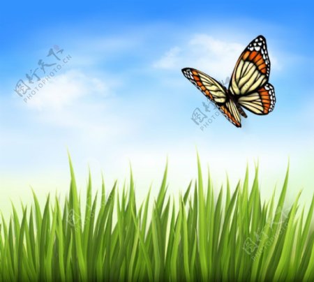 蝴蝶与草丛背景矢量素材