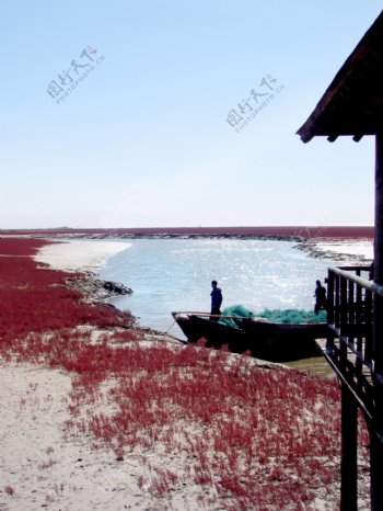 10月盘锦红海滩图片