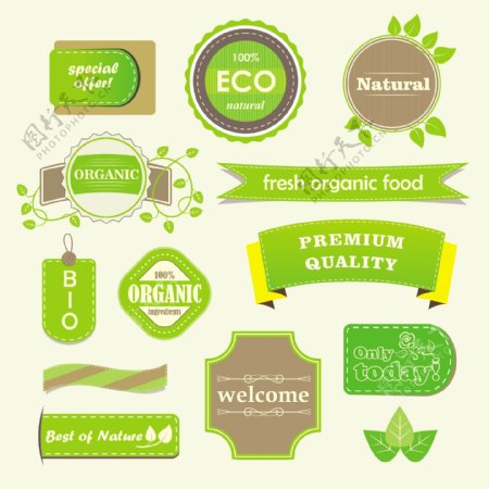 清新的绿色食品标签矢量素材