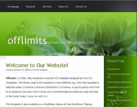 绿色植物BLOG信息网页模板