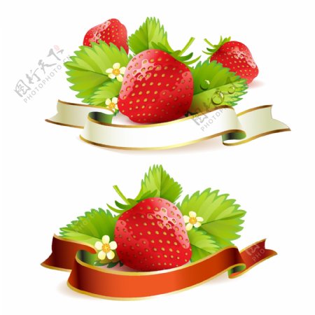 草莓丝带标贴矢量设计