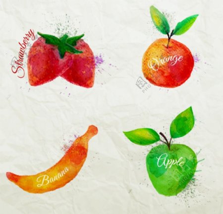 水彩水果设计矢量图