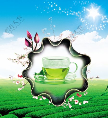 茶水宣传页宣传单海报