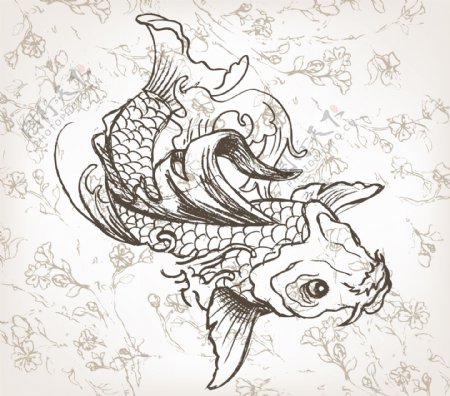 矢量手绘的锦鲤鱼日本插画
