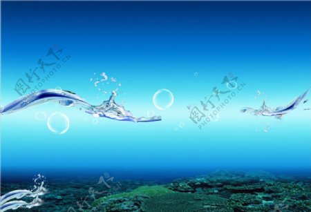 海底海澡水泡