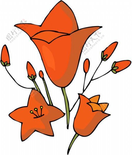 位图色彩优雅植物少女装印花橙色免费素材