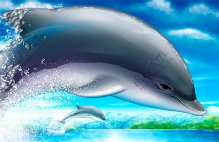 海洋跳跃的海豚PSD分层