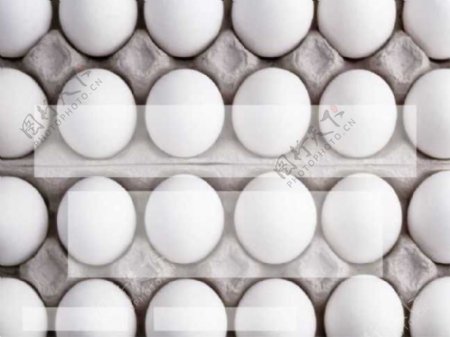 鸡蛋队列精品PPT模板