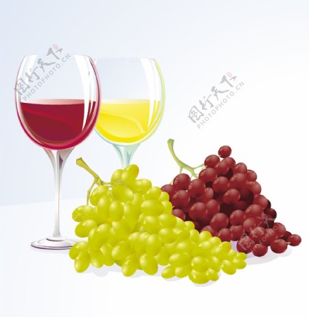 红葡萄酒白葡萄酒与葡萄矢量图