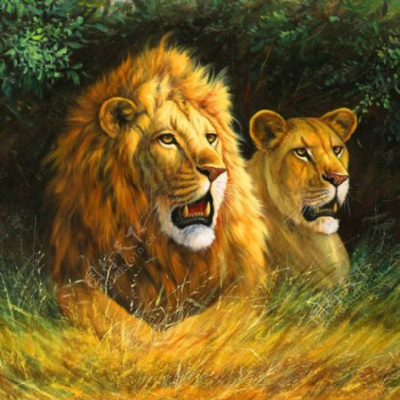 位图动物狮子艺术效果油画免费素材