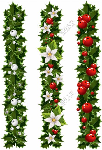 圣诞绿叶鲜花装饰矢量图片