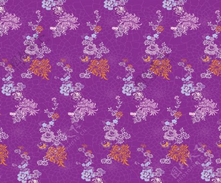 紫菊物语