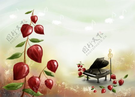 灯笼花和钢琴