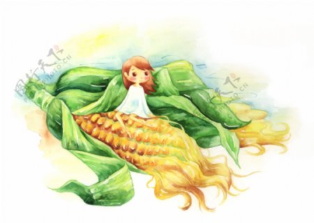 韩国手绘玉米