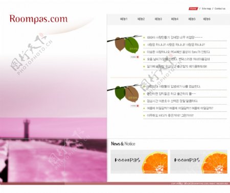 roompascom网页模板图片