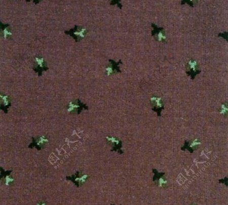 52079地毯花毯