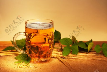 啤酒小麦绿叶图片