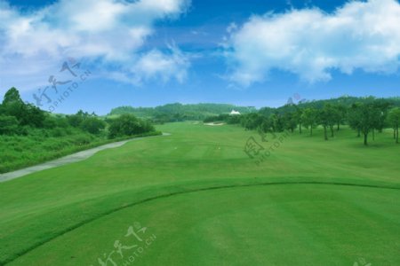 高清高尔夫球场美化图片