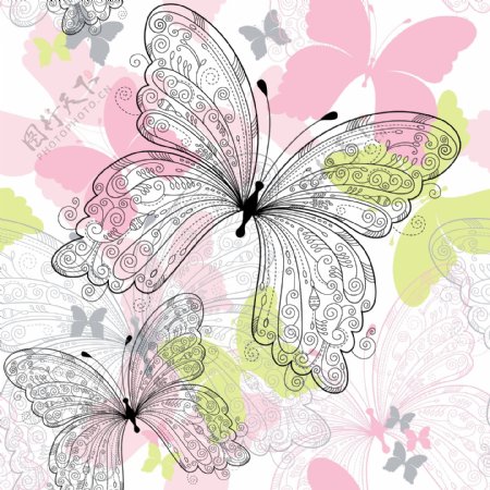 精美彩色蝴蝶图案
