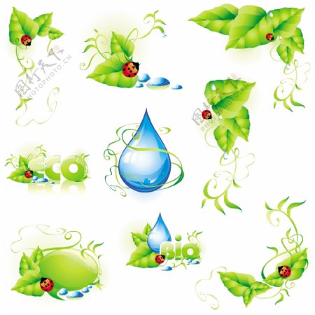 绿叶植物瓢虫水滴花边矢量图