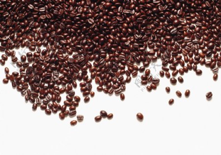 全球首席大百科咖啡美味香醇咖啡豆天然咖啡杯制作品尝