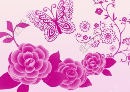 精美花朵蝴蝶笔刷图片