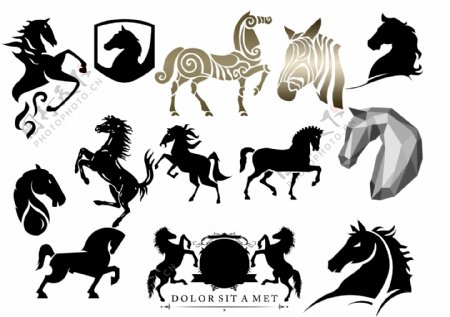 不同的马的轮廓设计PSD图