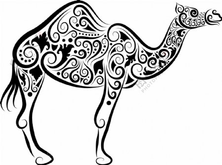 骆驼黑白花纹矢量图