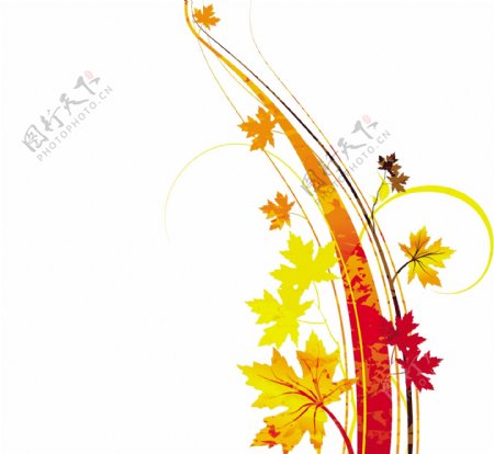 秋叶花纹背景图片