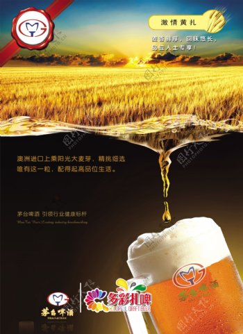 黄扎啤酒海报图片