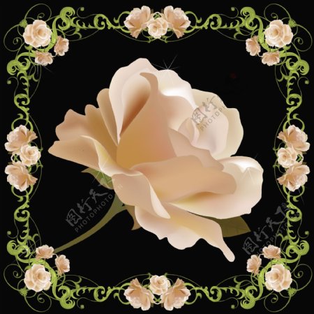 幽雅玫瑰花边背景矢量素材